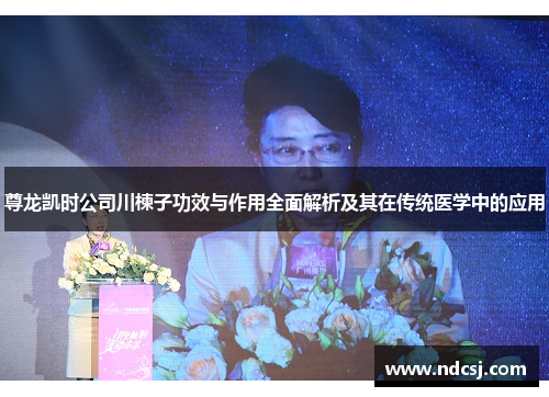 尊龙凯时公司川楝子功效与作用全面解析及其在传统医学中的应用