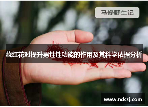藏红花对提升男性性功能的作用及其科学依据分析